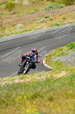 media/Apr-13-2024-Classic Track Day (Sat) [[9dd147332a]]/Group 3/Session 2 (Turns 5 and 6)/